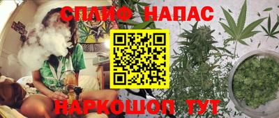 гашиш Новокубанск
