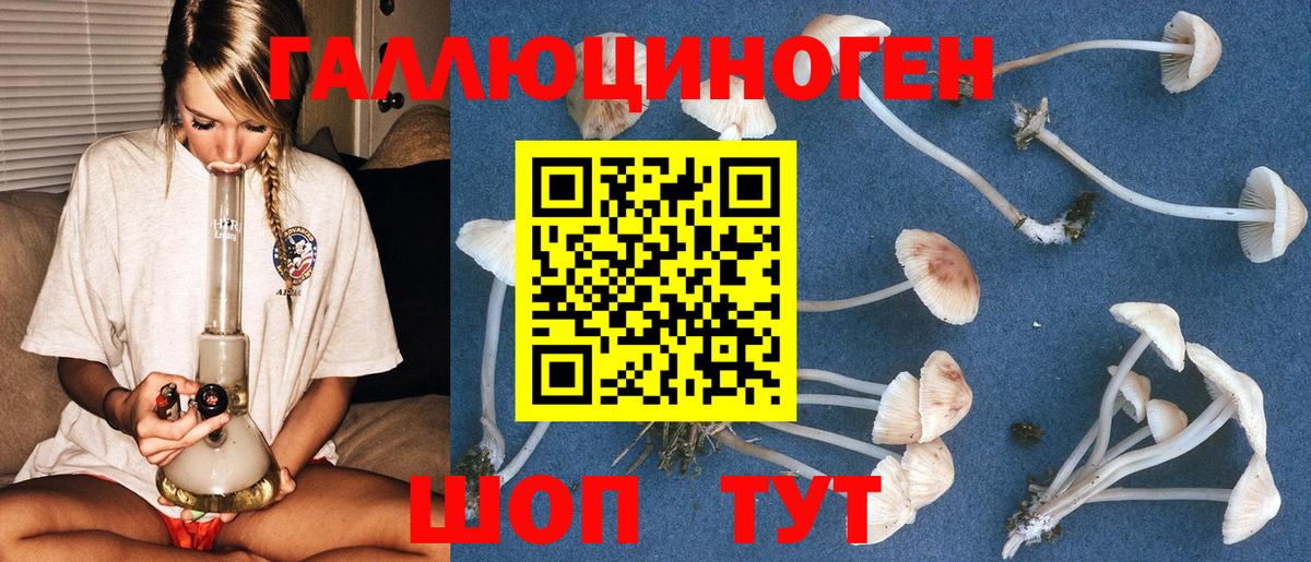 Псилоцибиновые грибы Magic Shrooms Сафоново