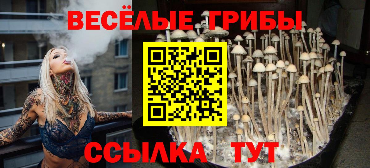 Галлюциногенные грибы MAGIC MUSHROOMS  Вход с VPN  Сафоново  Псилоцибиновые грибы мицелий 