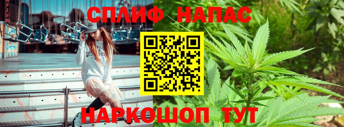 Каннабис семена  Шишки марихуана сатива  Сафоново  Конопля гибрид  Вход с VPN 